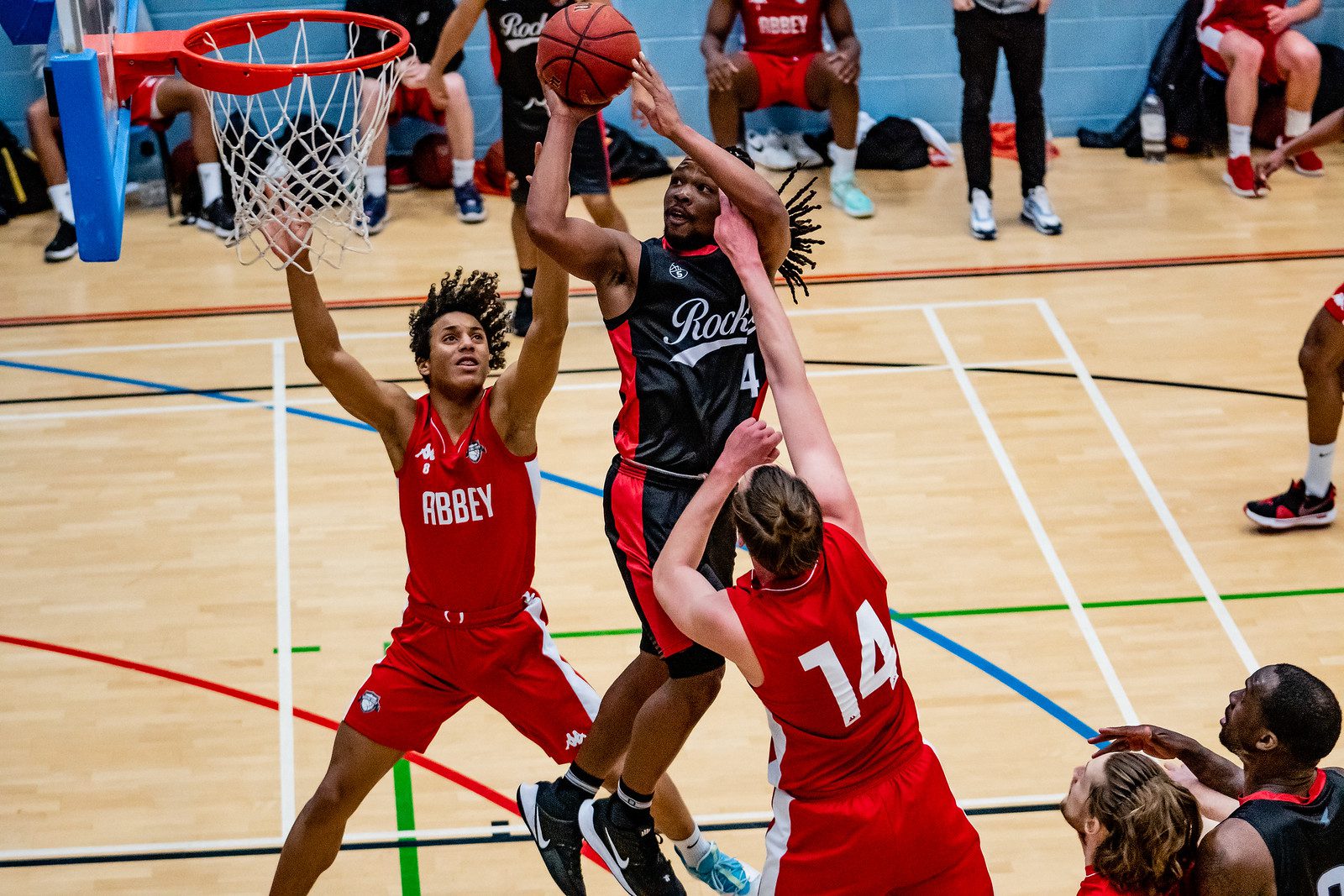 Rockets tame the Lions